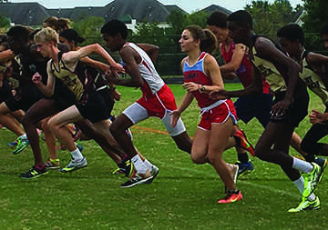 Paint Branch Cross-Country Puts Up Brave Fight at Second Divisional Meet against Northwest and Einstein