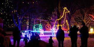 ZooLights: A Lot Going on Among the Animals