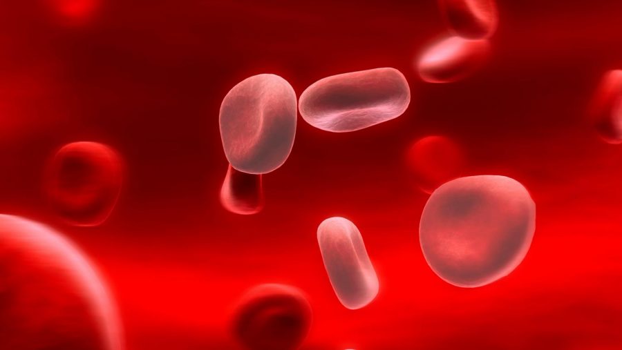 Anemia Can Have a Serious Impact on Teens