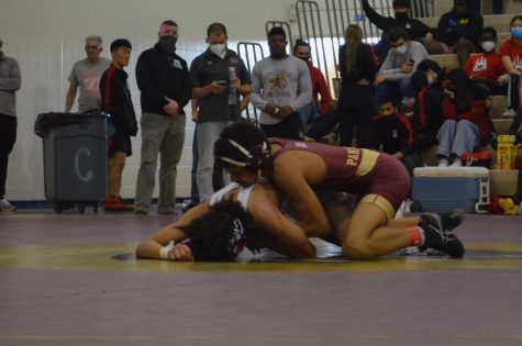 Panthers Dominate at Wrestling Regionals