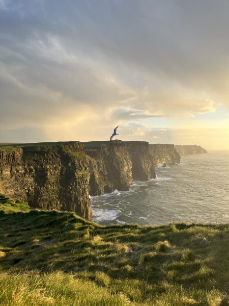 Cliffs of Moher - My favorite natural site were probably be the Cliffs of Moher. They were visually breathtaking, especially as we arrived at sunset.