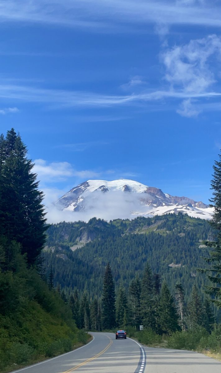 The Importance of Individual Action Towards Environmentalism