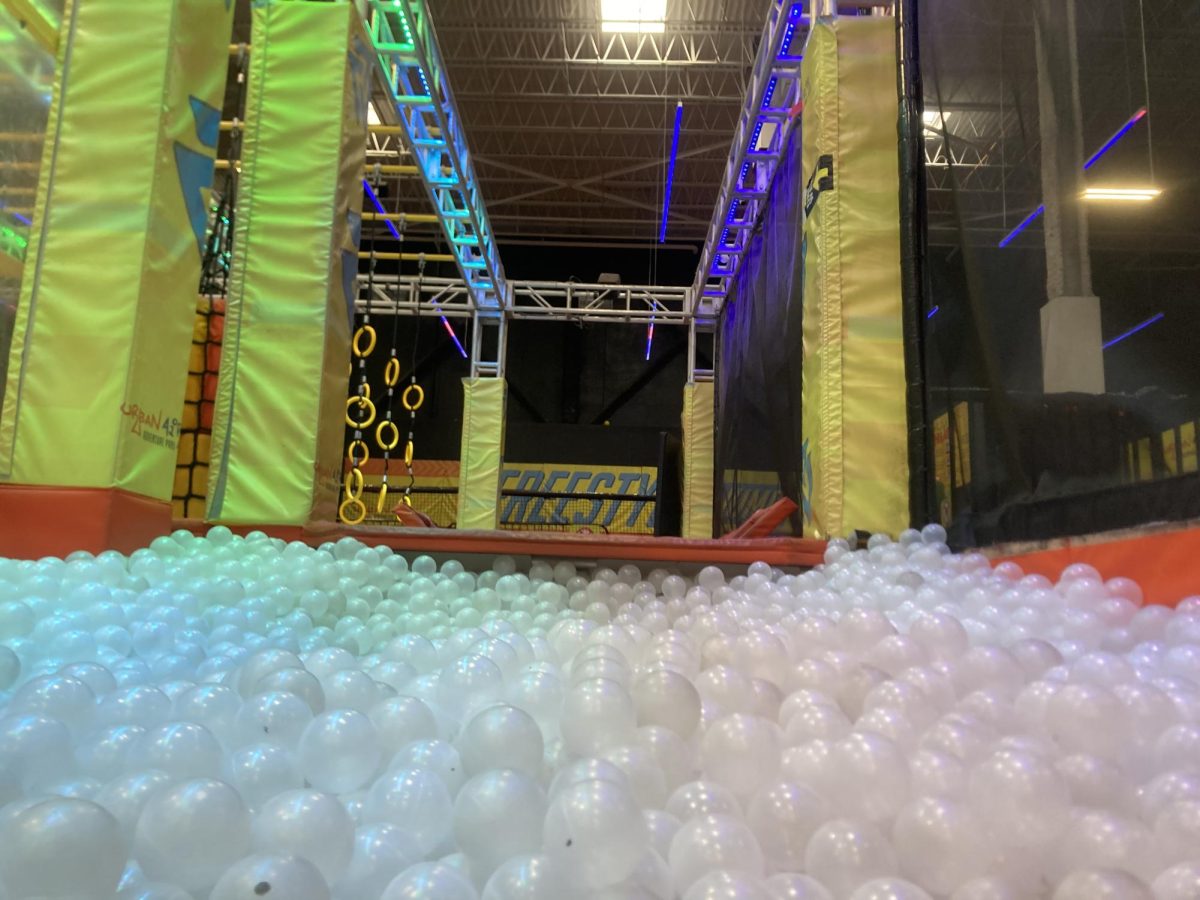 Inside the Warrior Course